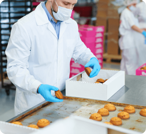 catering food preparation gloves